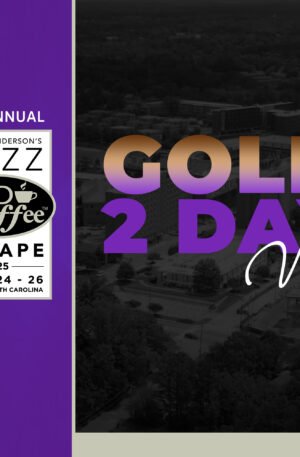 Gold VIP Package